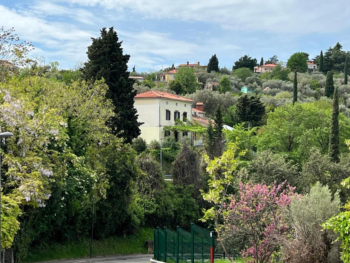 Vista Del Mar Bed and Breakfast Piran Exteriör bild